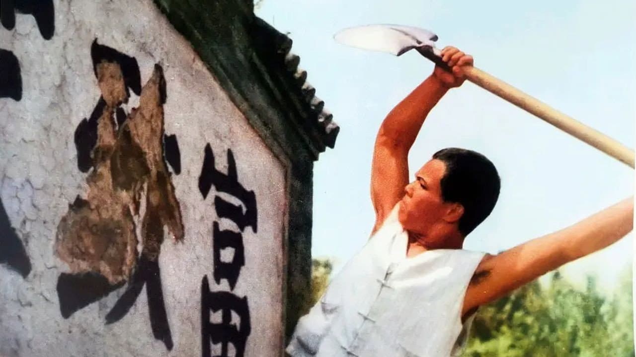 Yang Xiaofan
