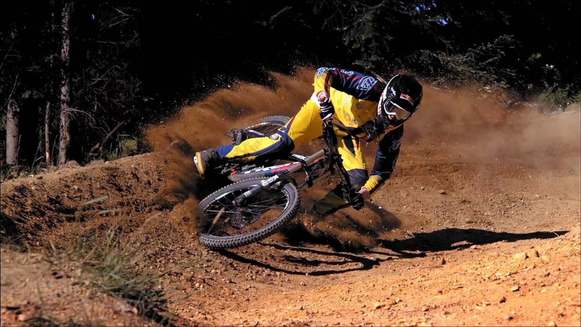Cam McCaul