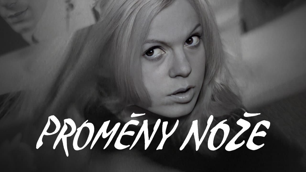 Helena Růžičková